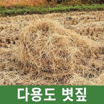 [국내산] 다용도 절단볏짚 짚불구이 바람막이 활용, 절단볏짚 1+1