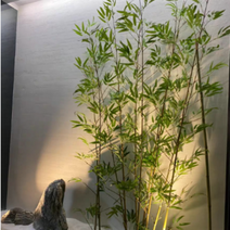 하이따거 인조 대나무 조화 세트 장식 인테리어 소품 실내 조경, 1개, 1.6m_8개
