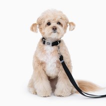 개 강아지 리드줄 개목줄 마당줄 와이어 줄 개줄 견인, 10M, 2.블랙 코팅 와이어, 5mm(대형)