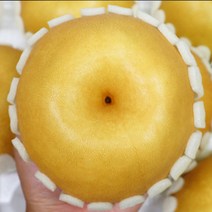 풍부한 과즙 평택배 7.5kg(11-12과) 배 선물세트 과일, 상세페이지 참조, 7.5kg 11-12과