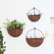 행잉플랜트 코코넛 반달 벽걸이화분, 반달형 35cm