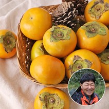 단감아저씨 이용수님의 진영 단감 10kg 40-50과내외(대과), 단품