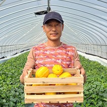 당도보장 꼬마참외 못난이참외 선물용 성주참외 2kg 3kg 5kg, 5kg (24~30과)