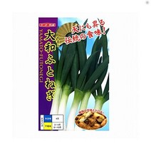 낭트 종묘 야마토 타이 쿠 파 일본 씨앗