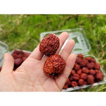 건대추 대용량 건사과대추 5kg 10kg 20kg 중대과 크기 25~32mm, 1박스, 25~32mm/20kg