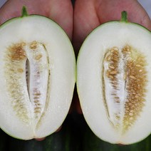 [장보리] 고당도 파파야메론 5kg (8-15과), 상세 설명 참조