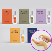 송월타올 엣이즈 아로마 손소독제 스프레이 30ml, 샤인시트러스(블루)