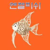 엔젤피쉬 27cm