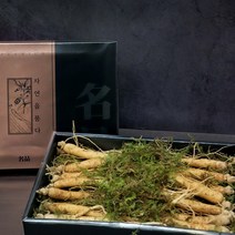 경성건강원 강원도 토종 수삼 자연산수삼 국내산 300g 10~13뿌리 진세노사이드 인삼 생삼 선물용 수삼선물 부모님 건강 선물세트 감사선물 명절선물 고급선물, 2세트