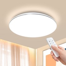플랜룩스 티르 리모컨 원형 LED방등 50W 조명 led등, 단품