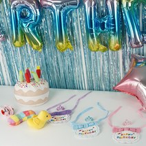 데구르르 강아지 고양이 생일파티 용품 베이직 세트, 스카이