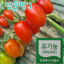 [샘들팜] # 유기농 # 대추 방울 토마토 2kg 4kg 5kg 산지직송 2번 대과 최상품