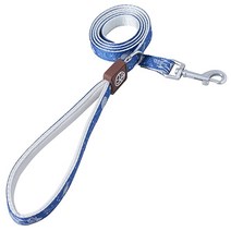 Petfamily Reflective Dog Leash Padded Handle Nylon 4 Ft Training Lead Pet Leashes for Small Medium, Blue, 3/4