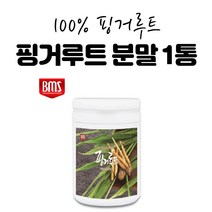 핑거루트 분말 가루 추출물 고형차 뿌리 100% 1통 300g