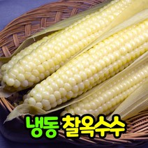 삼시세끼연구소 쫀득탱글 냉동 옥수수 찐옥수수 냉동찐옥수수 백찰옥수수 10개 15개 20개 특상품, 찐 찰옥수수(냉동)_20개