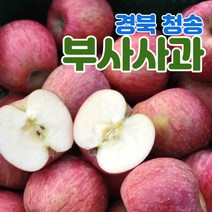 산지직송 경북 청송 사과 부사 5kg 10kg 가정용 정품 중소과 중과 대과, 가정용_부사, 5kg_중소과