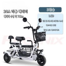 3인승 전기자전거 애견 동반 출퇴근 스쿠터 펫바이크, B