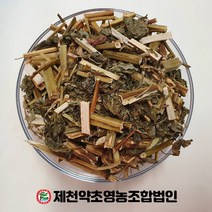 국산 곽향 500g 제천약초영농조합 제천약초시장, 1, 500