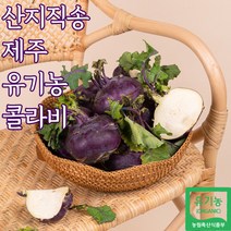 산지직송 유기농 제주 콜라비 제주도콜라비, 유기농콜라비_5kg