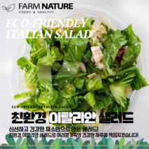[팜네이처] 친환경 이탈리안 샐러드 60g / 150g / 250g
