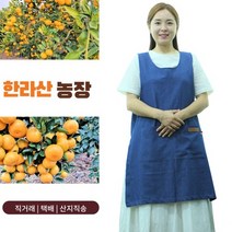 한라산 조생 노지 제주귤 10kg 친환경 고당도 제주도 감귤