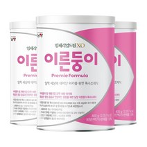 남양유업 임페리얼드림 XO 이른둥이 신생아분유 아이사랑 400g 3캔, 2세트