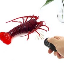 남자어린이 가재 RC 아이들생일선물 6살남자아이 아이들선물, 랜덤발송