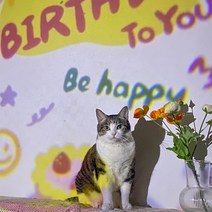 공유 생일축하 빔, 행복해져라