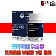 우슬정 우슬환 우슬 쇠무릅 뿌리 부모님 노인 국산 쇠무릎풀 30대 20대 50대 여자 남자 중장년 상어연골분말 어골칼슘 해조칼슘 보스웰리아 국내산, 5박스(60정), 5개