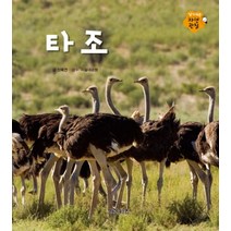 타조 (알기 쉬운 자연관찰 14), 그린키즈