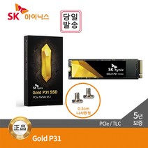 _SKHynix Gold P31 M.2 NVMe SSD 500GB~2TB_[고정나사 증정], _M.2 NVMe_, 500GB_