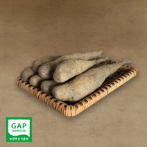 태나농장 우수농작물 마 산마 참마 산약 생마 햇마 3kg 5kg, 산마 하품 5kg, 1개