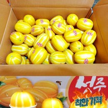 성주참외 못난이참외 참외 성주 특대과 3kg 3과, 상품선택, 상품선택