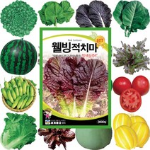텃밭채소 로메인종자 콩씨앗 부추씨앗 꽃씨몰 고들빼기씨앗 해바라기 상추씨 씨앗심기, 701 슈퍼안산참깨 가지깨 3천립