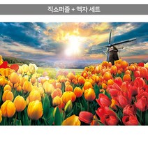 1000피스 직소퍼즐+액자세트 - 화사한 튤립 들판 (액자포함), 단품, 단품