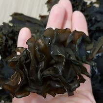 일농 제주 자연산 돌미역 5kg(급냉), 5개, 1kg_생미역(급냉)