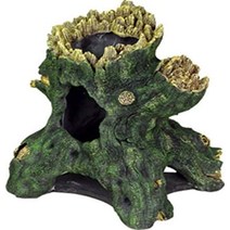 이국적인 환경 할로우, Tree Stump