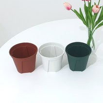 농사친구 일본 슬릿화분 모스그린 브라운 투명 플라스틱 화분 슬릿분 플분 행잉, 01. 그린