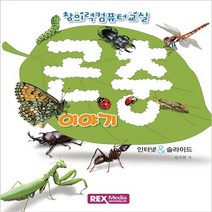 NSB9788959602940 새책-스테이책터 [창의력 컴퓨터 교실 : 곤충 이야기] -인터넷 & 슬라이드-창의력 교실-렉스미디어닷넷-김지원 지음, 창의력 컴퓨터 교실 : 곤충 이야기