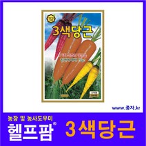 헬프팜 3색당근 500립 KS종묘 당근씨 종자