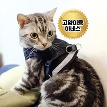 고양이용 입는 하네스 리드줄포함 국내제작, 블랙