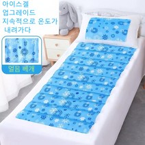 Newfusion 쿨매트 침대쿨매트 아이스 여름 쿨젤 소파패드 중형매트1pcs+베개 1pcs, 푸른 눈송이