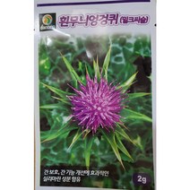 [가람종묘사] 엉겅퀴 씨앗(우유엉겅퀴 밀크씨드 국화과에 속하는며 건강보조제의 원료로 사용되기도 하는 식물), 1개