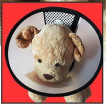 7호 강아지용 상처보호 목카라 2개 강아지넥워머