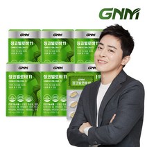 GNM자연의품격 징코빌로바 11 6박스 (총 6개월분) 은행잎추출물