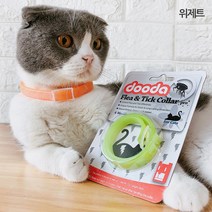 펫느 강아지 고양이 해충 방지 진드기 목걸이, 감귤, 60cm