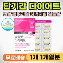 똥배 뱃살 단기간 다이어트 옆구리 허벅지 살빼는 법 식약처 인증 효과 살빠지는 영양제 등살 팔뚝살 얼굴살 볼살 턱살 날씬 슬림 알약 건강 식품 남자 여자 가르시아 추천 체중 관리