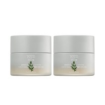 미샤 2개 개똥쑥 진정 크림 50ml MS103220 292481