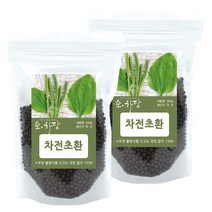 순하당 국산 차전초환 (질경이환), 300g, 2팩