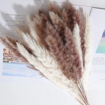 생화같은조화 대형조화나무 팜파스 팜파스그라스 조화 드라이플라워 팜파스 말린 꽃 갈대 부케 흰색 깃털 홈 장식 웨딩 장식, C